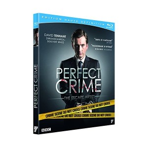 the perfect crime